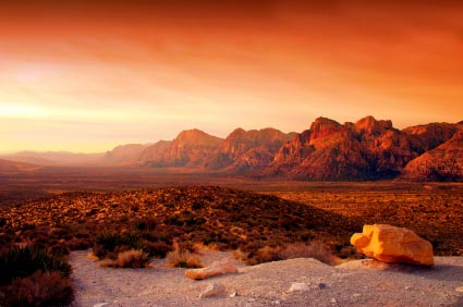 Foreground Elements in Landscape Photography